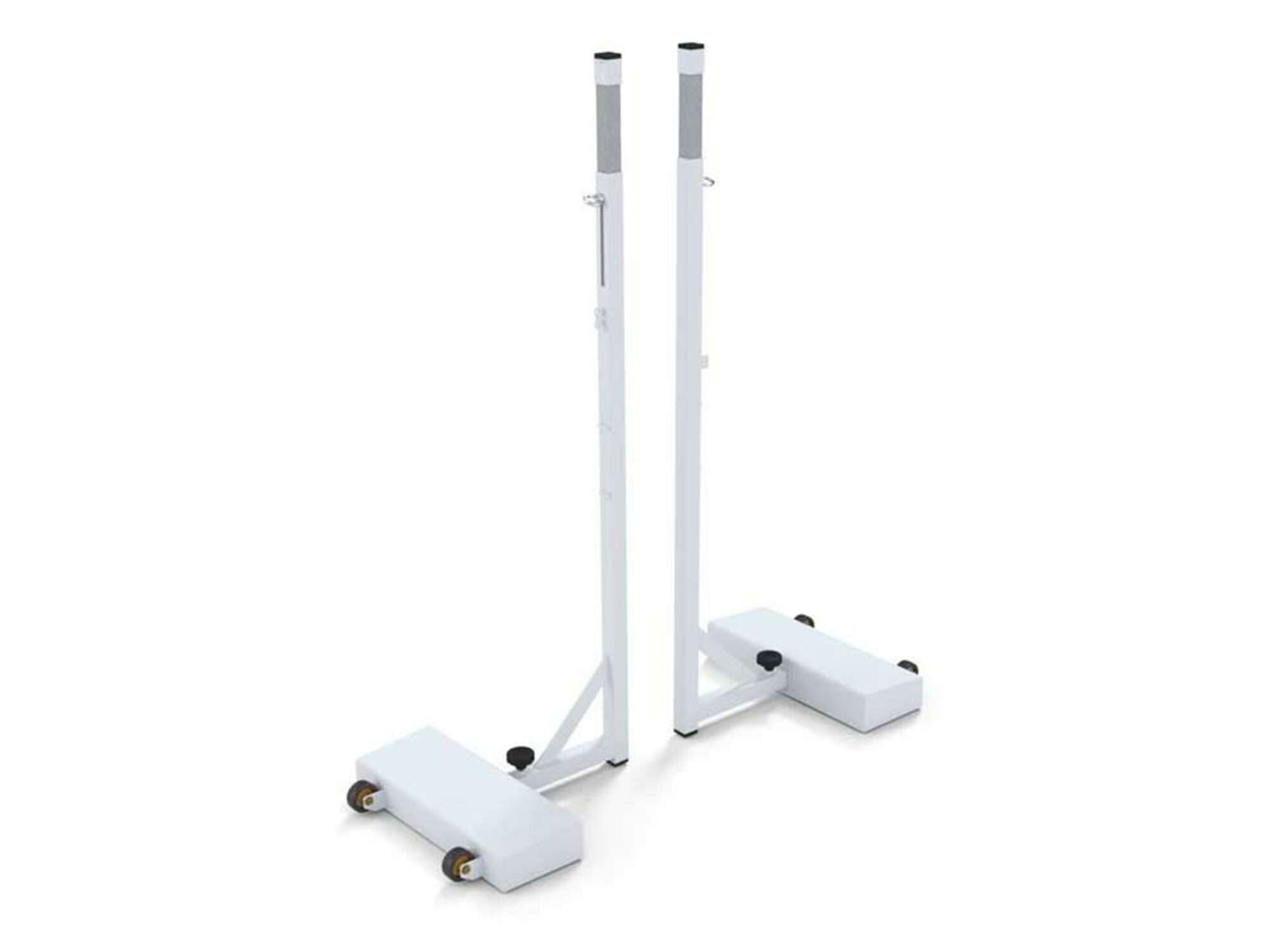 Image du produit : Poteaux de badminton professionnels
