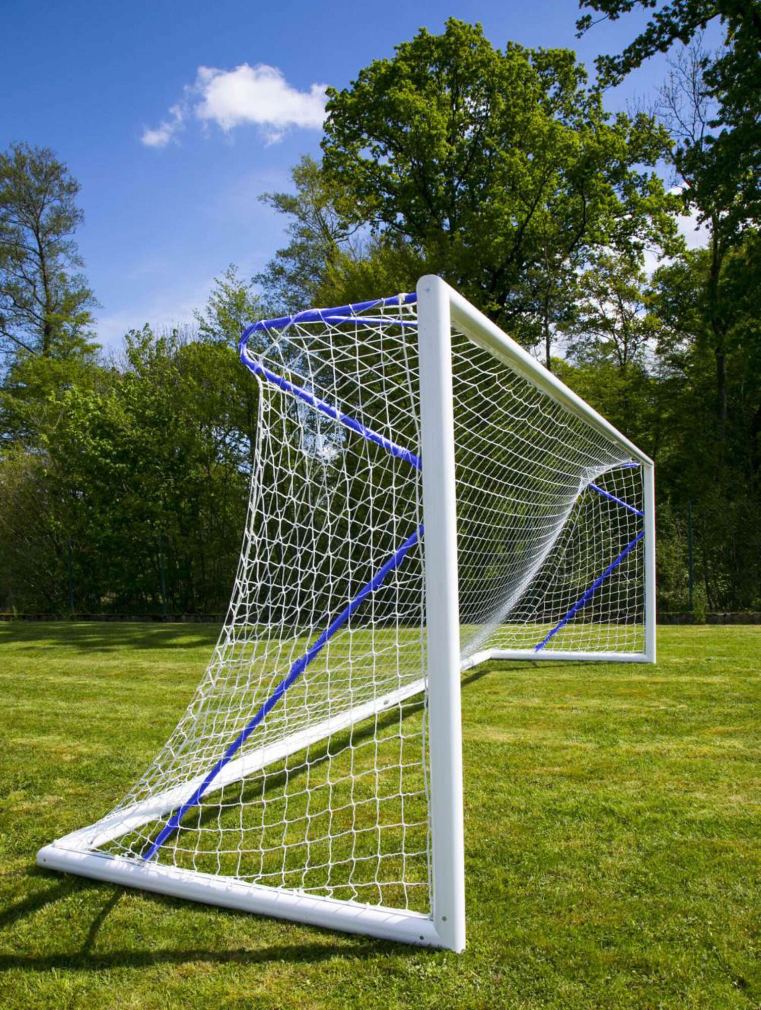 Image du produit : But de foot à 11 - Transportable - Aluminium - PROFESSIONNEL - Bleu