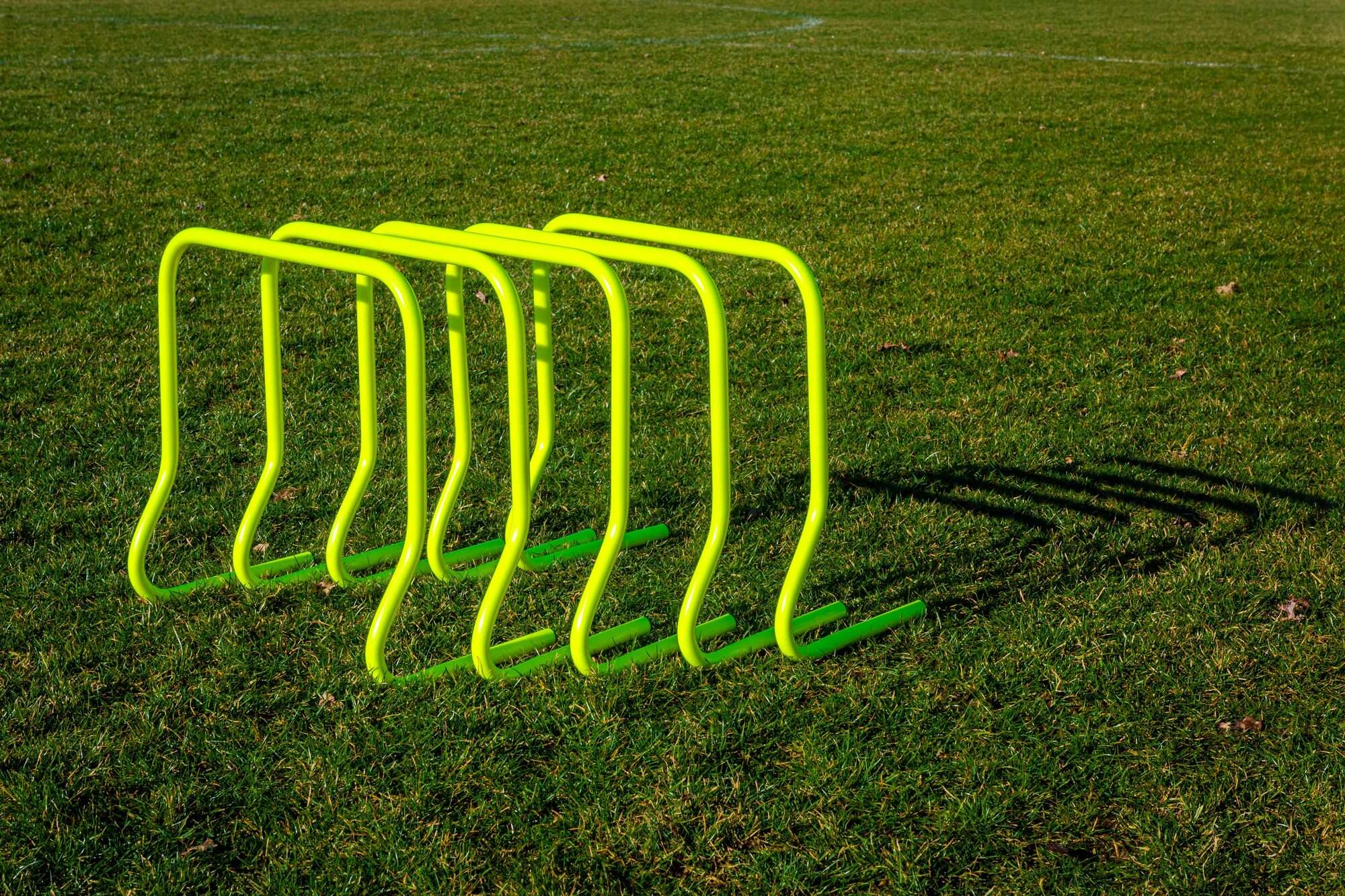 Image du produit : Haies d'entraînement - 45cm - Lot de 5