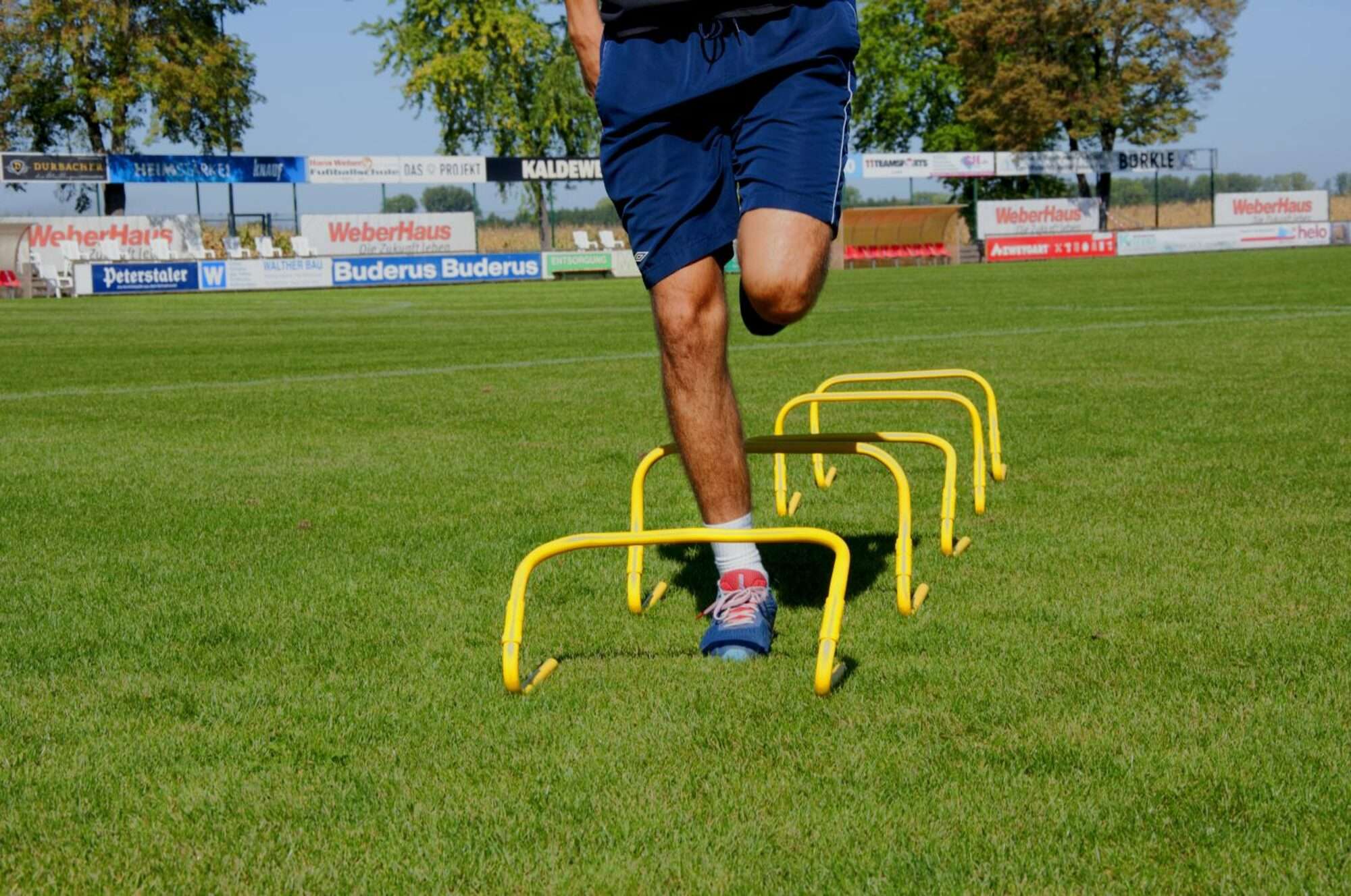 Image du produit : Haies d'entraînement ajustables - 23 ou 30 cm - Lot de 5
