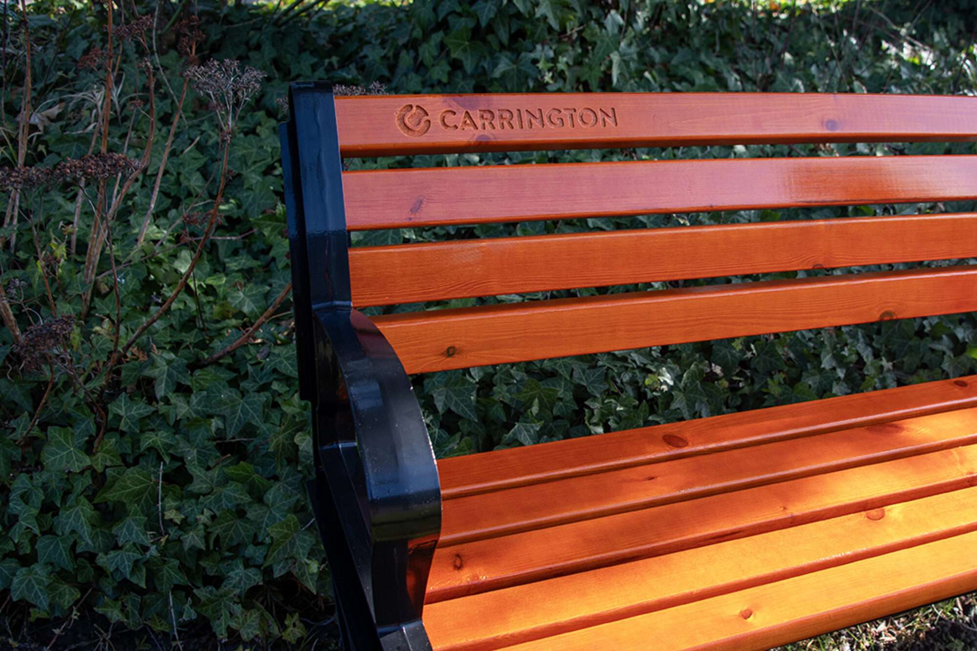 Image du produit : Banc tennis avec dossier - 150cm