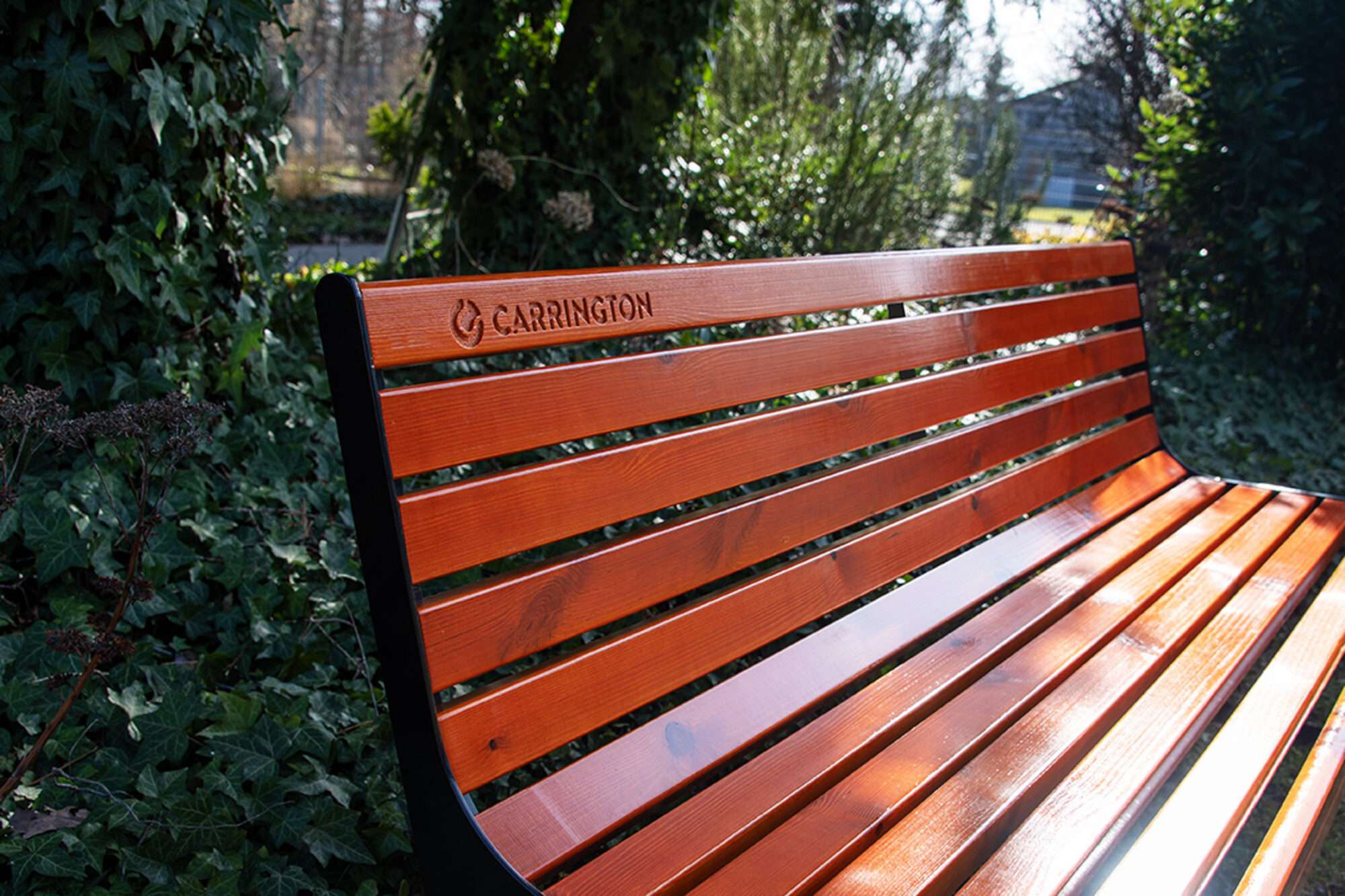 Image du produit : Banc tennis premium en bois avec dossier - 196 cm