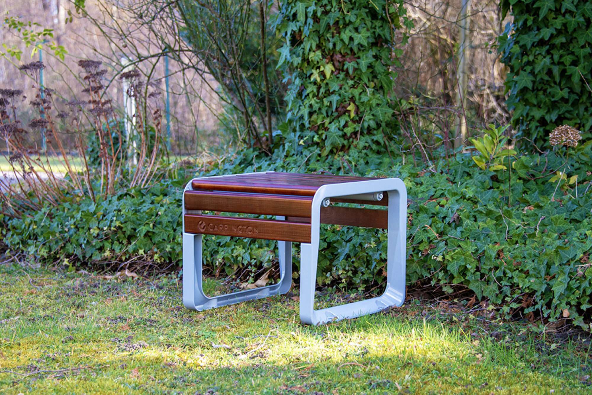 Image du produit : Siège premium une personne 