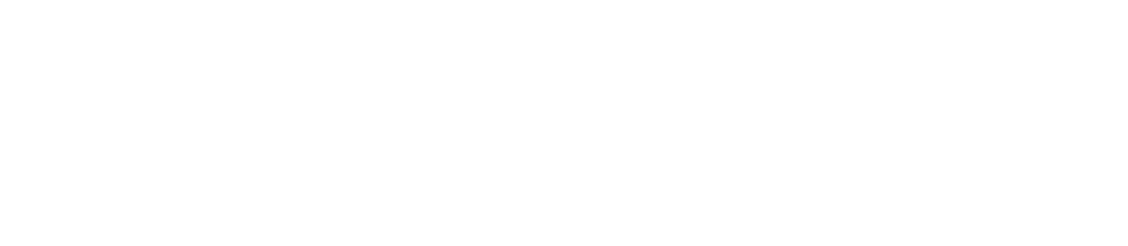 Logo Netsportique